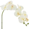 Bloomingville Orchideen Stiel, Weiß, Künstliche Blume