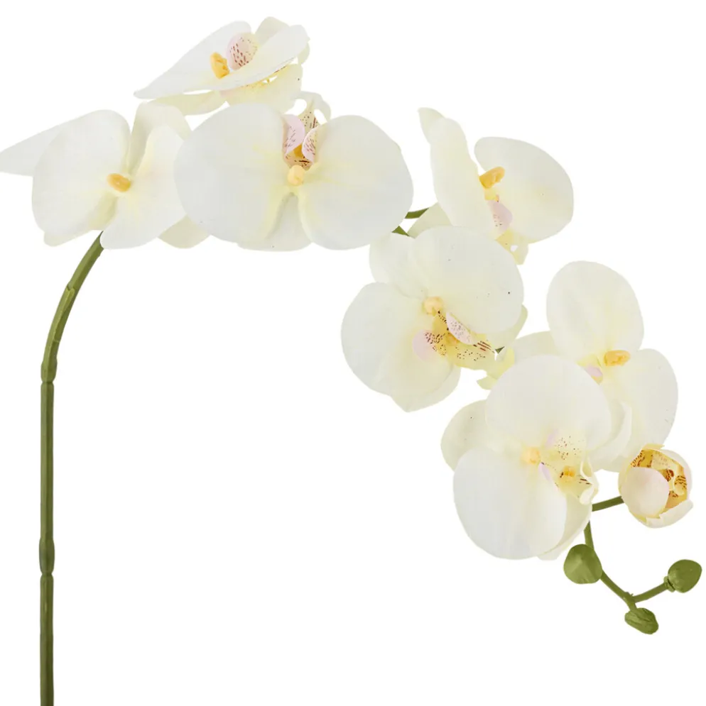 Bloomingville Orchideen Stiel, Weiß, Künstliche Blume