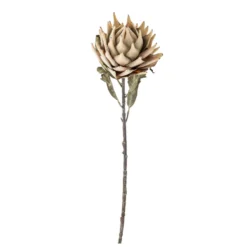 Bloomingville Protea Stiel, Künstliche Blume