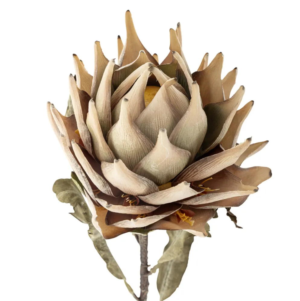 Bloomingville Protea Stiel, Künstliche Blume