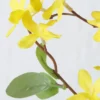 Boltze Dekozweig Forsythie, künstlich
