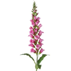 Boltze Künstliche Stielblume Fingerhut
