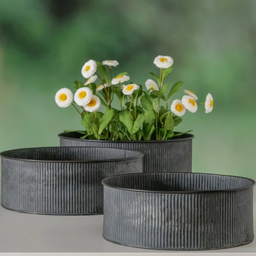 Boltze Metall Übertopf Bionda flach, 3er Set