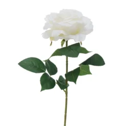 Boltze Stielkunstblume Rose