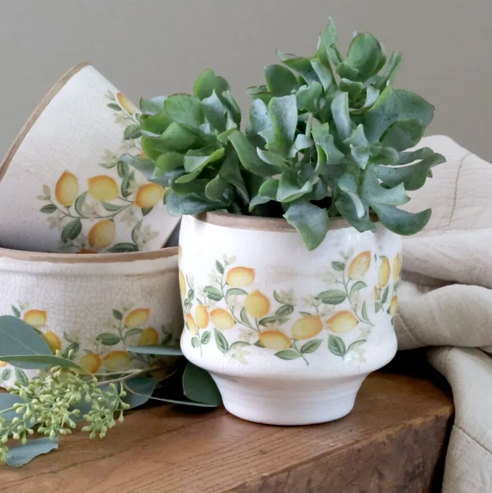Chic Antique Übertopf Limone Blossom – Vintage Keramik mit Zitronen & Blumen