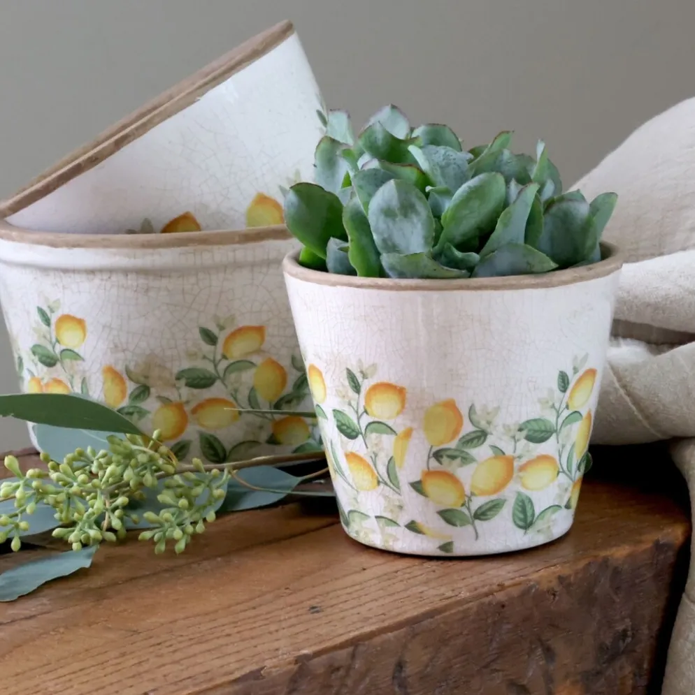 Chic Antique Übertopf Limone Blossom – Vintage Keramik mit Zitronenmotiv