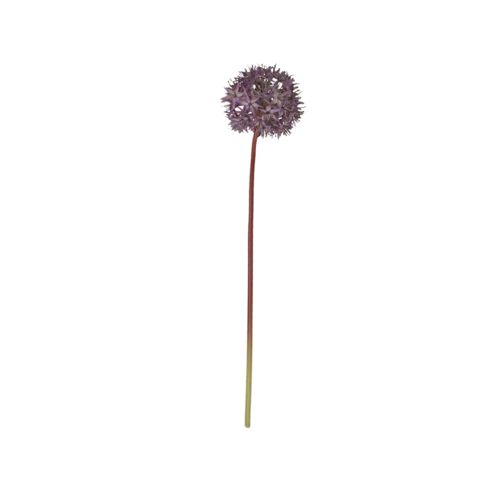 Chic Antique Fleur Allium