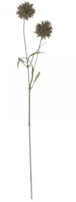 Chic Antique Fleur Distel 2