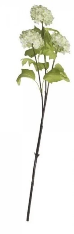 Chic Antique Fleur Echter Schneeball lime