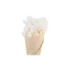 Chic Antique Fleur getrocknete Schleierspargel