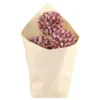 Chic Antique Fleur getrocknete Schneeball Blumen farbig