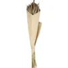 Chic Antique Fleur getrocknete Seterea Blumen