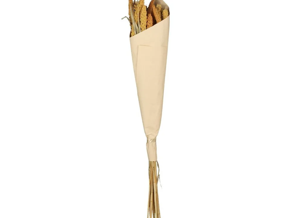 Chic Antique Fleur getrocknete Seterea Blumen