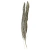 Chic Antique Fleur getrocknetes Gras