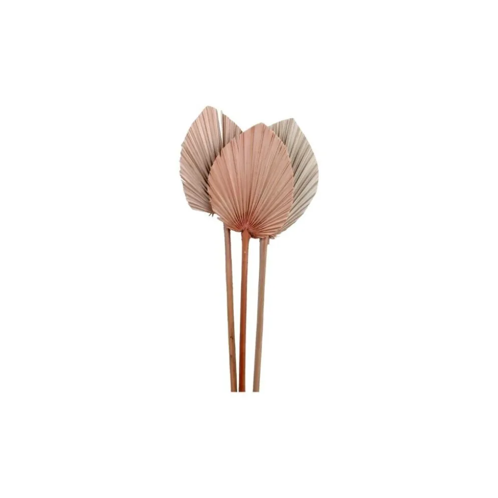 Chic Antique Fleur getrocknetes Palmenblatt