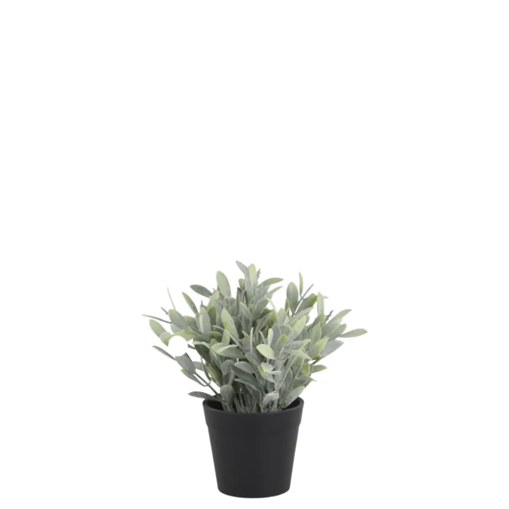 Chic Antique Fleur künstliche Pflanze Jojoba
