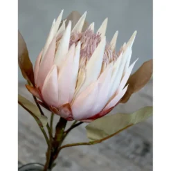 Chic Antique Fleur Kunstblume Protea