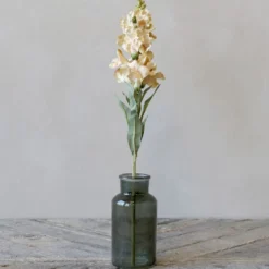 Chic Antique Fleur Löwenmäuler