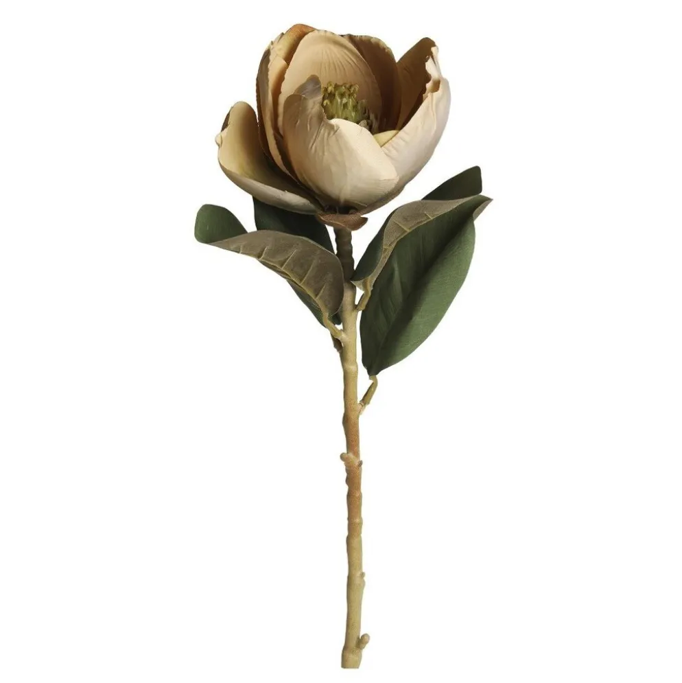 Chic Antique Fleur Magnolia