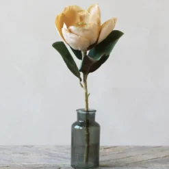 Chic Antique Fleur Magnolia