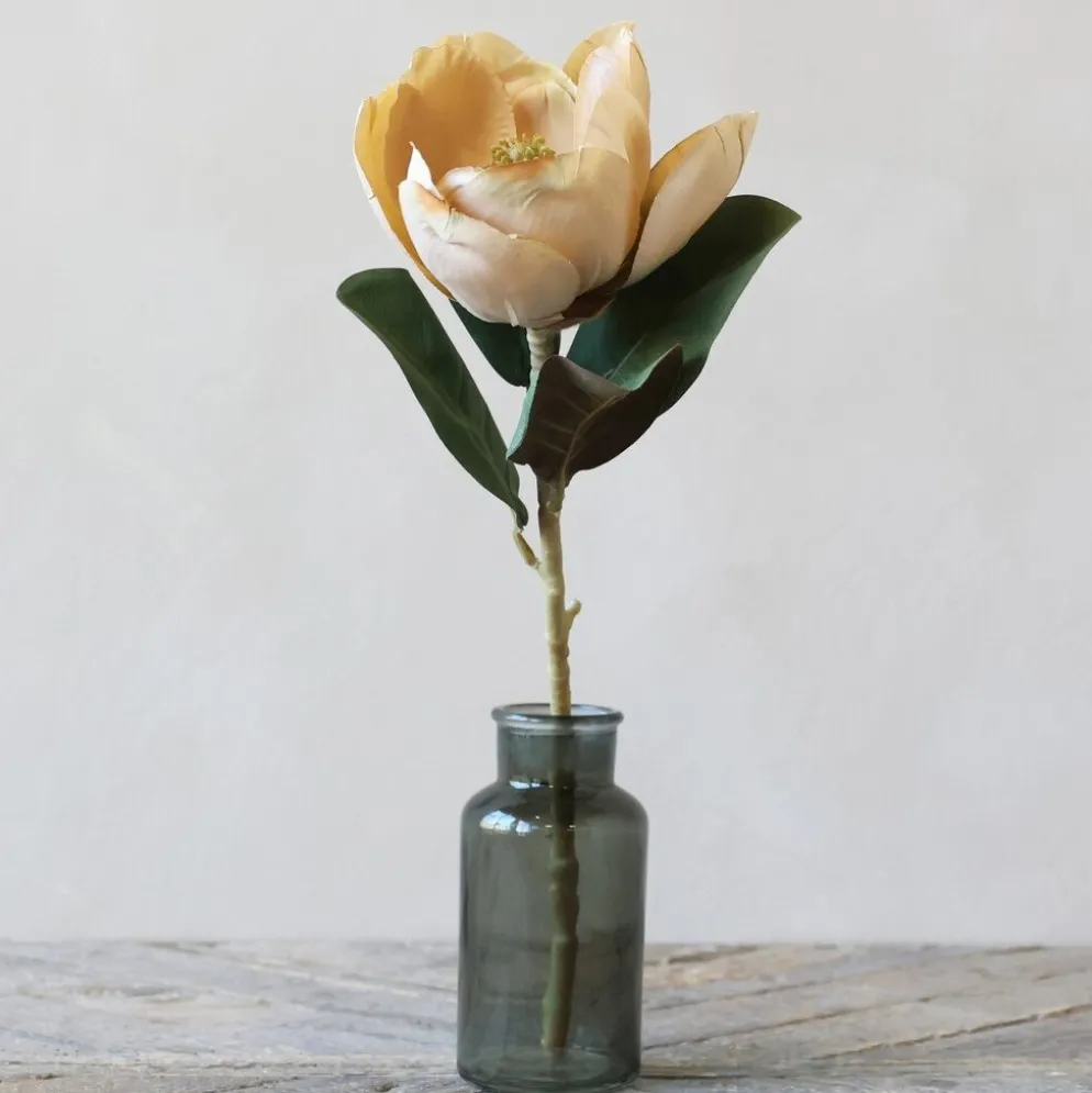 Chic Antique Fleur Magnolia