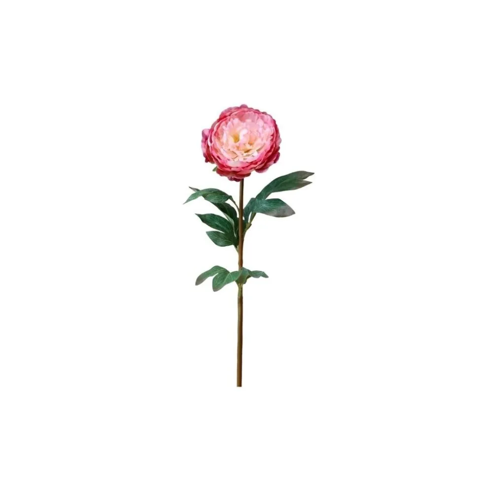 Chic Antique Fleur Pfingstrose