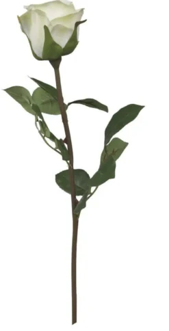Chic Antique Fleur Rose weiß