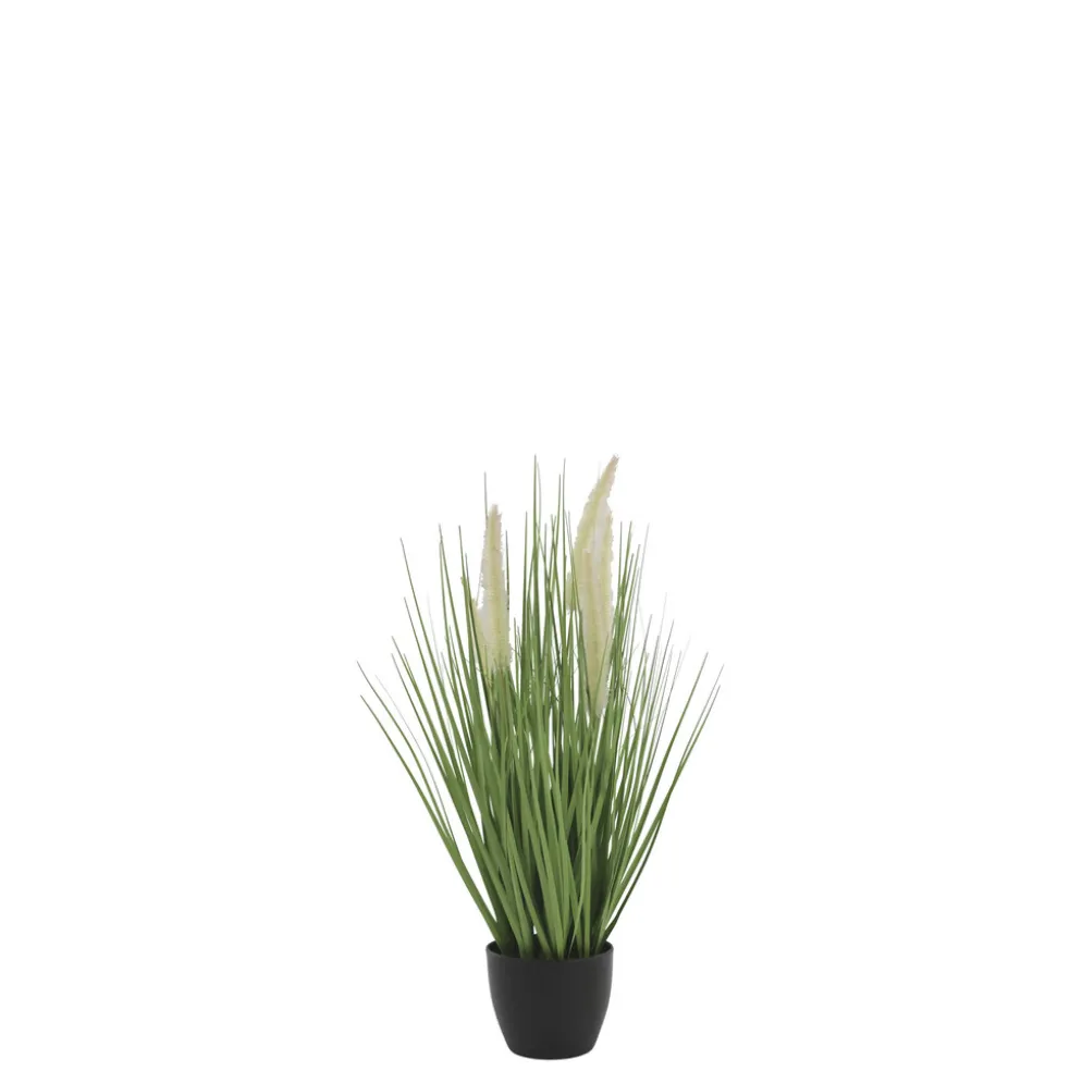 Chic Antique Fleur Schilfpflanze mit Fuchsschwänzen