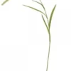 Chic Antique Fleur Stroh