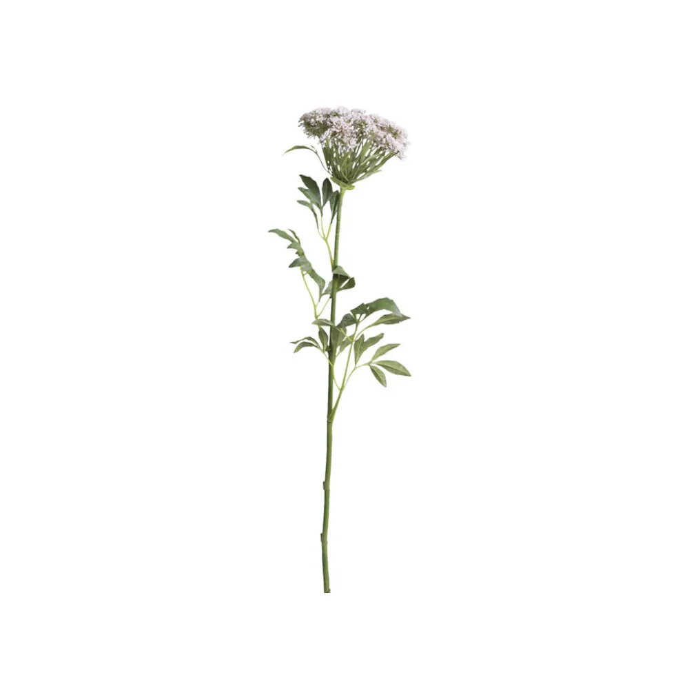 Chic Antique Fleur Wilde Möhre