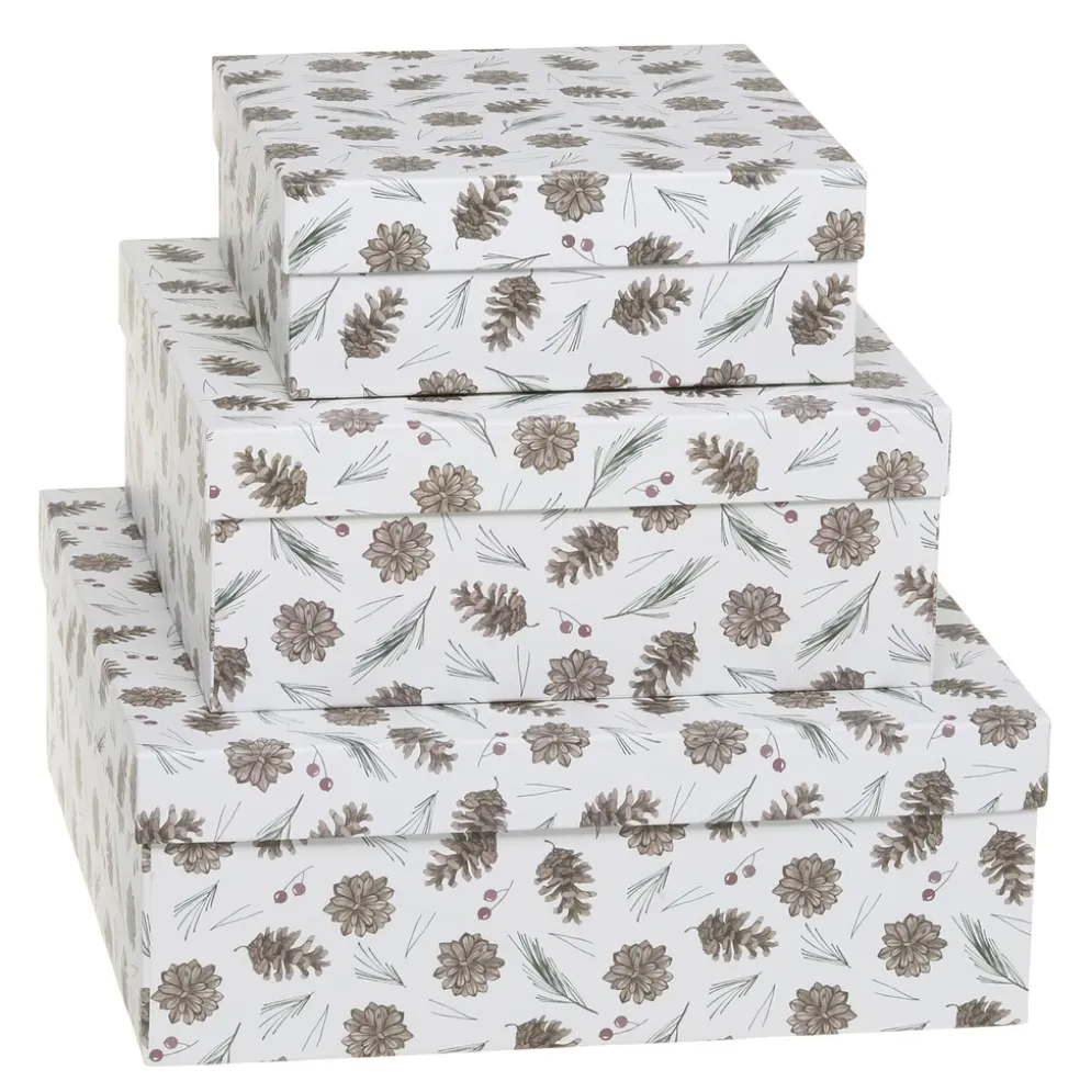 Chic Antique Geschenkbox 3er-Set mit Zapfen