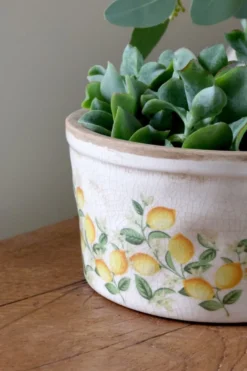 Chic Antique Pflanztopf Limone Blossom