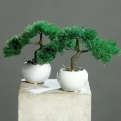 dpi Künstlicher Bonsai im weißen Keramik Topf