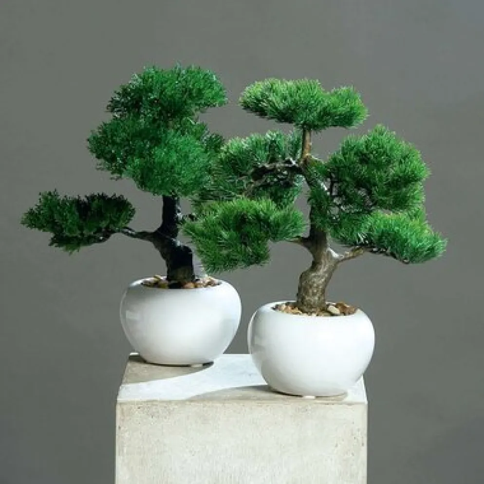 dpi Künstlicher Bonsai im weißen Keramik Topf