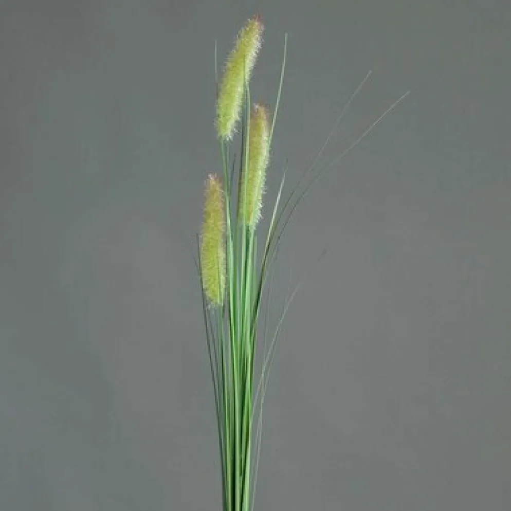 dpi Künstlicher Graswedel