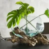Faktorei Unikat-Dekowurzel mit Glasschale