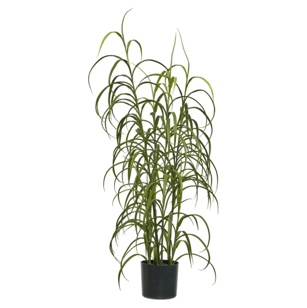 House Nordic künstliche Graspflanze Grün H:68 cm