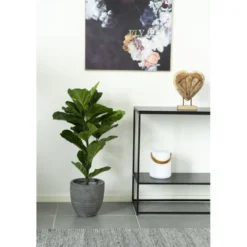 House Nordic Künstlicher Geigenblattbaum, Grünpflanze