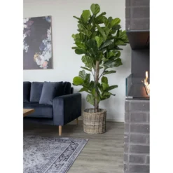 House Nordic Künstlicher Geigenblattbaum, Grünpflanze XXL
