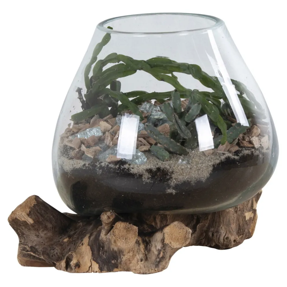 House Nordic San Marino Waterdrop Glas Schale auf kleinem Teakholz Ständer