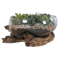 House Nordic San Marino Waterdrop Teakholz Wurzel mit Glasschale 2