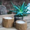 HSM Collection Naturholz Kerze Teak