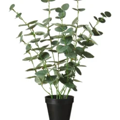 IB Laursen Künstlicher Eukalyptus im Topf