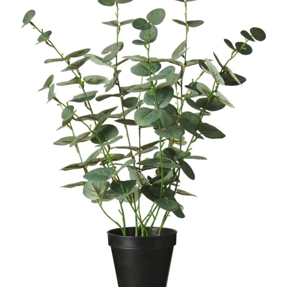 IB Laursen Künstlicher Eukalyptus im Topf