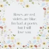 IB Laursen Metallschild Roses are red