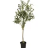 IB Laursen Olivenbaum in Topf