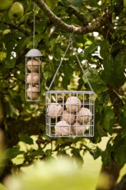 IB Laursen Vogelfutterspender für Meisenknödel