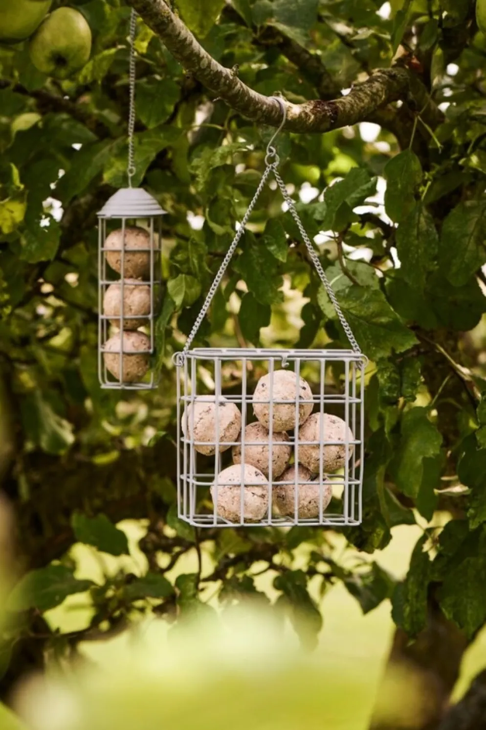 IB Laursen Vogelfutterspender für Meisenknödel